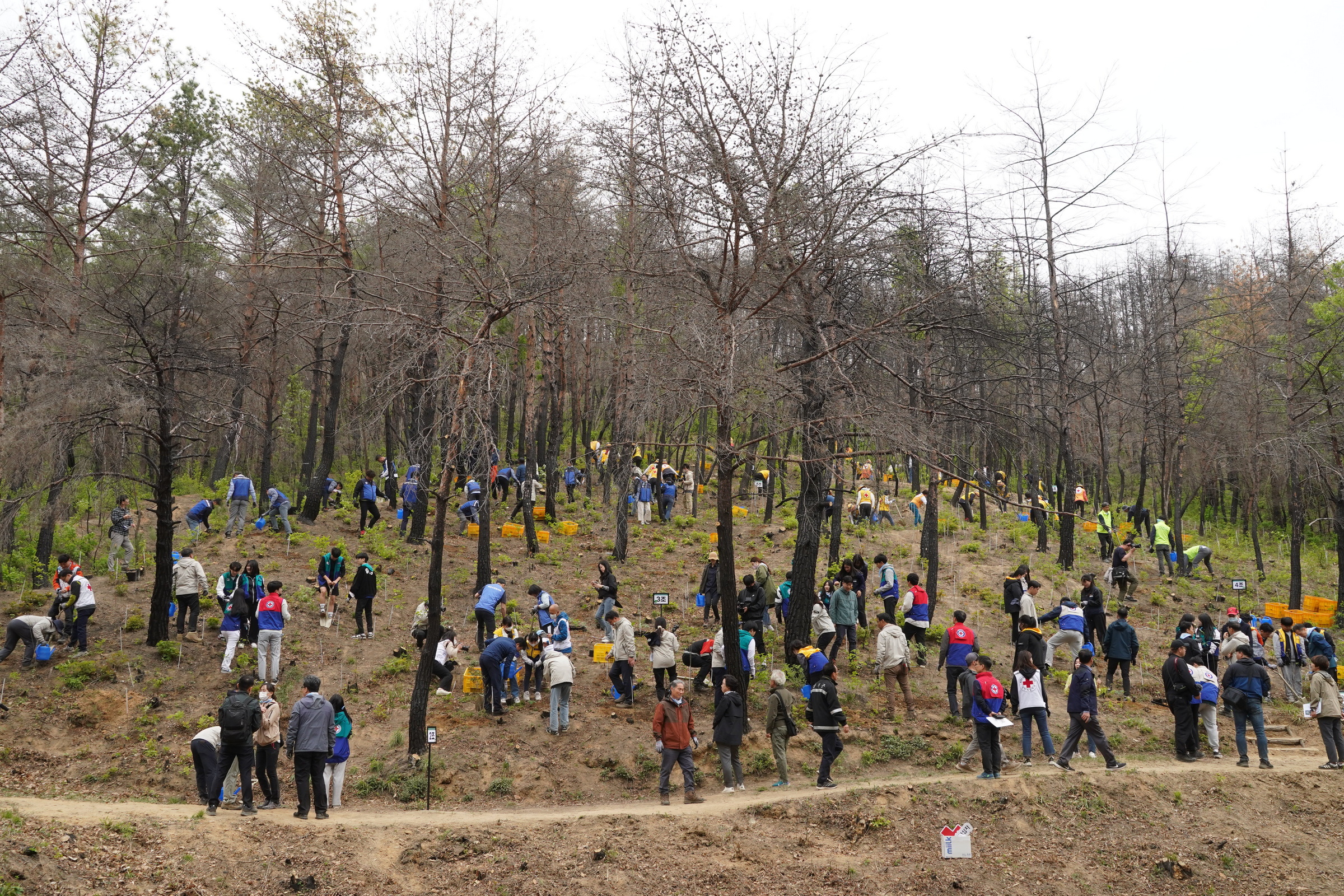 ['23.4.21.] '울진 기부자의 숲' 조성 기념 산림생태복원 <font color=red>행사</font>